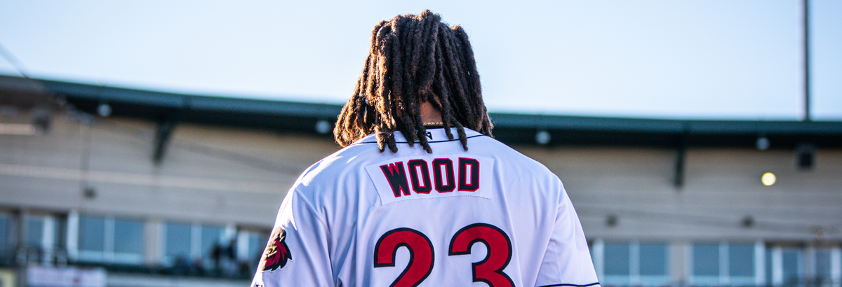 James Wood
