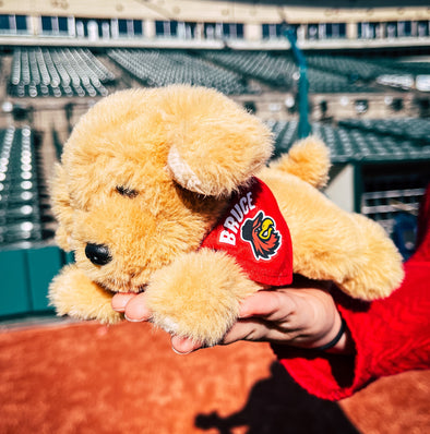 Rochester Red Wings Baby Bruce Plush