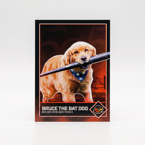 2026 Bruce the Bat Dog Trading Card