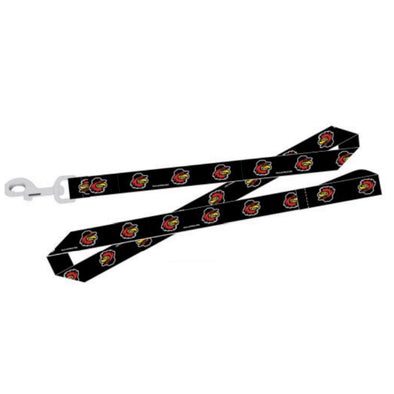 Rochester Red Wings Dog Leash